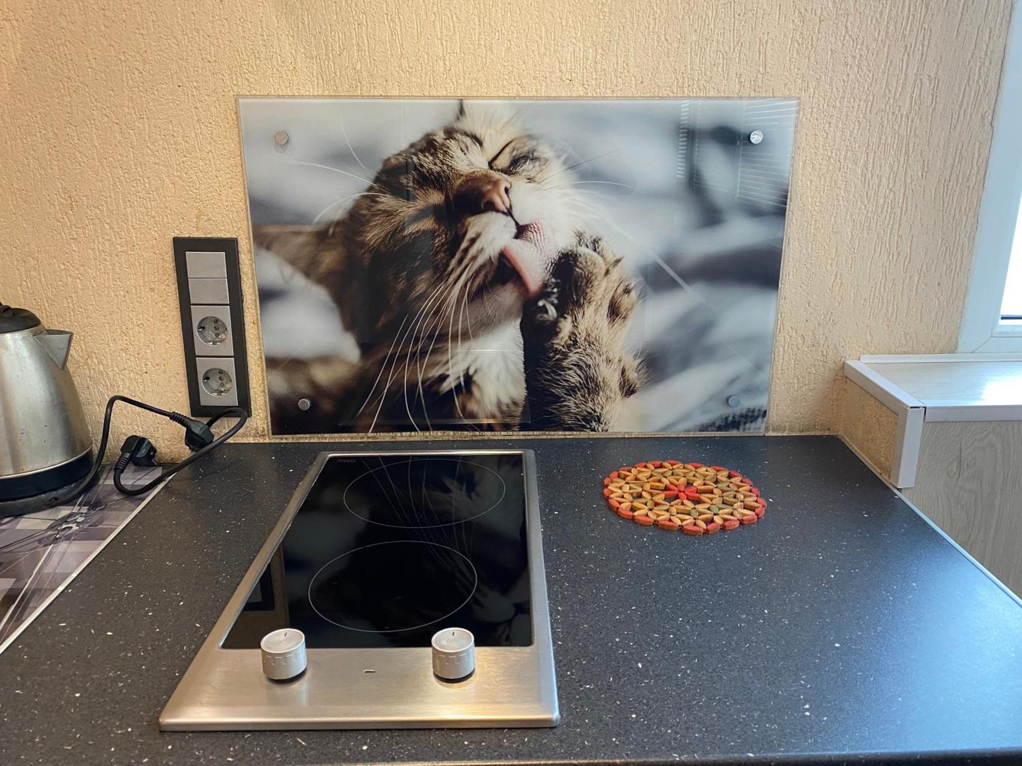 Cat Garden Superior Apartments 리가 외부 사진
